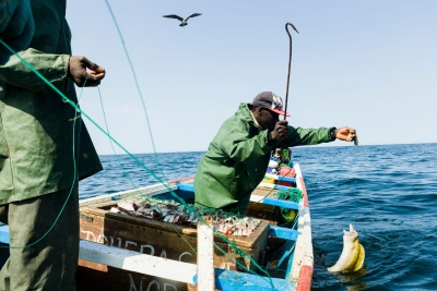 China 'stealing' Africa's fish