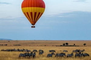 Africa's Covid entry rules putting off visitors